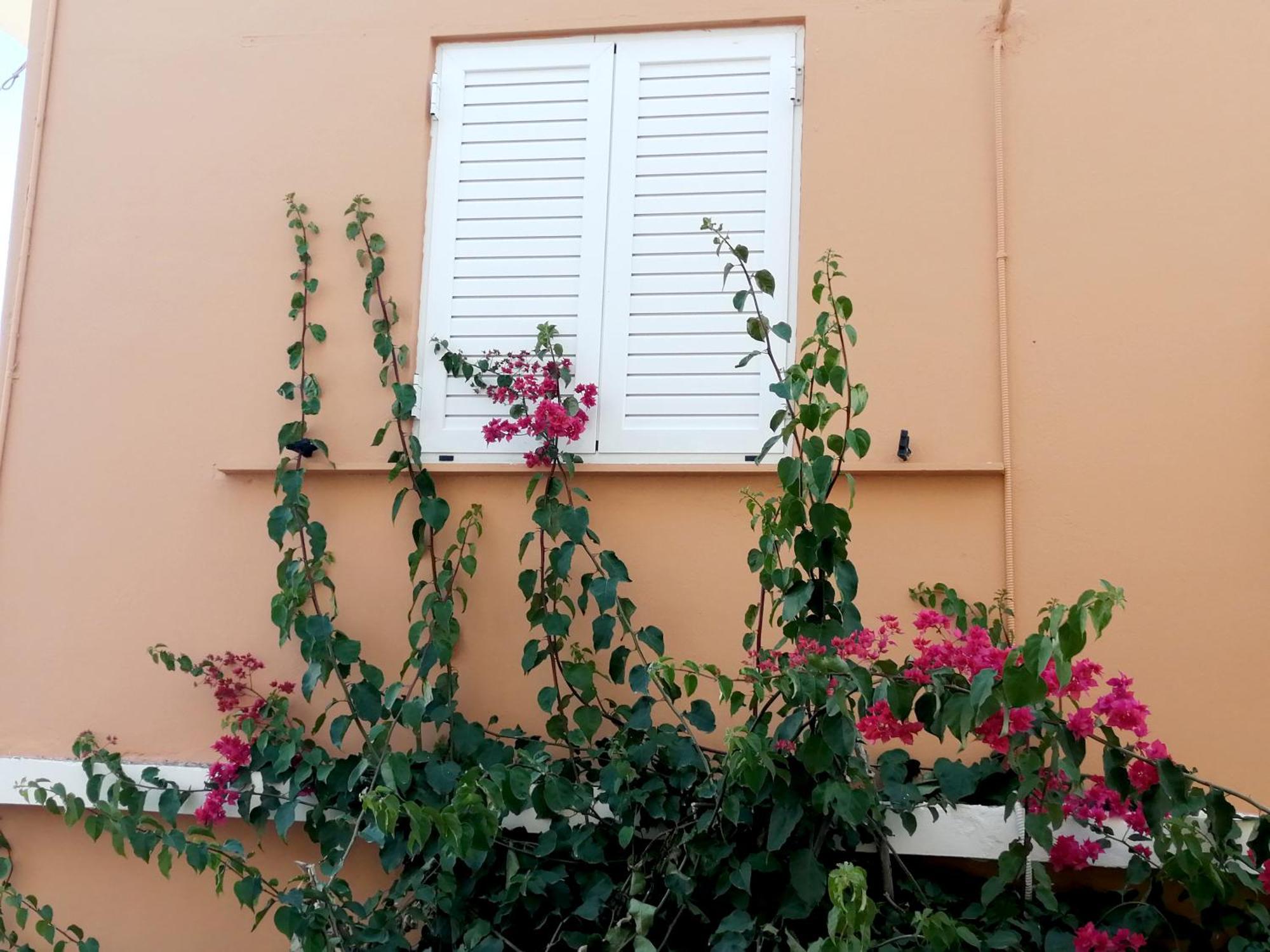 Katerina Rooms&Studios Palaikastro Exterior foto