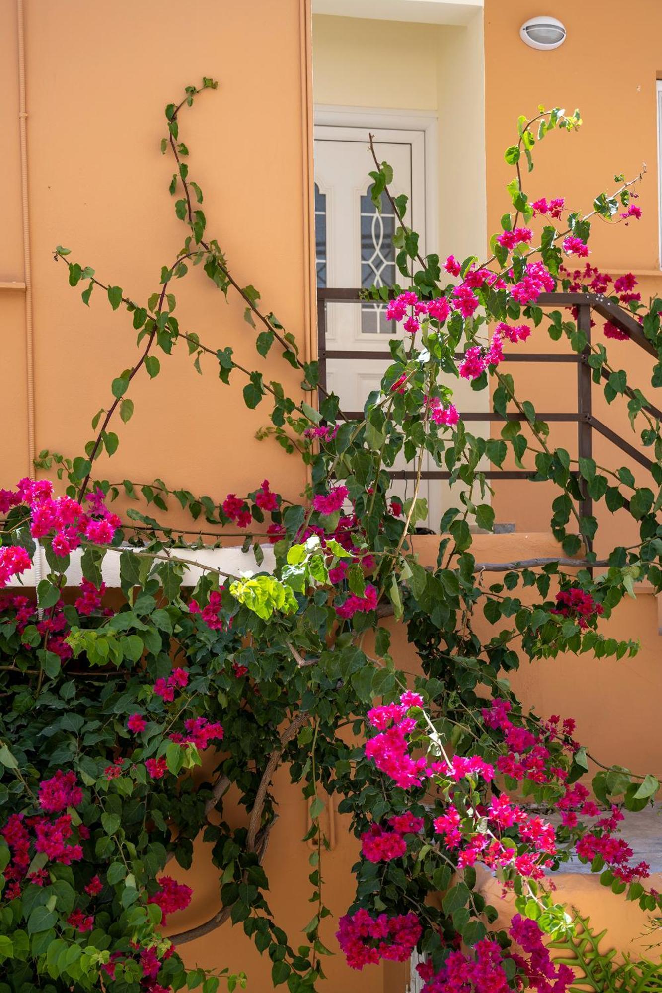 Katerina Rooms&Studios Palaikastro Exterior foto